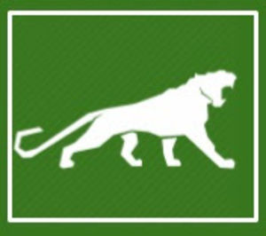 Meet your Posher, Caleb